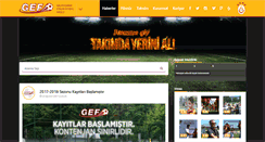 Desktop Screenshot of gsetiler.com