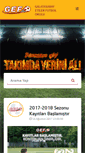 Mobile Screenshot of gsetiler.com
