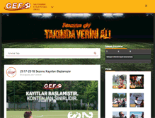Tablet Screenshot of gsetiler.com
